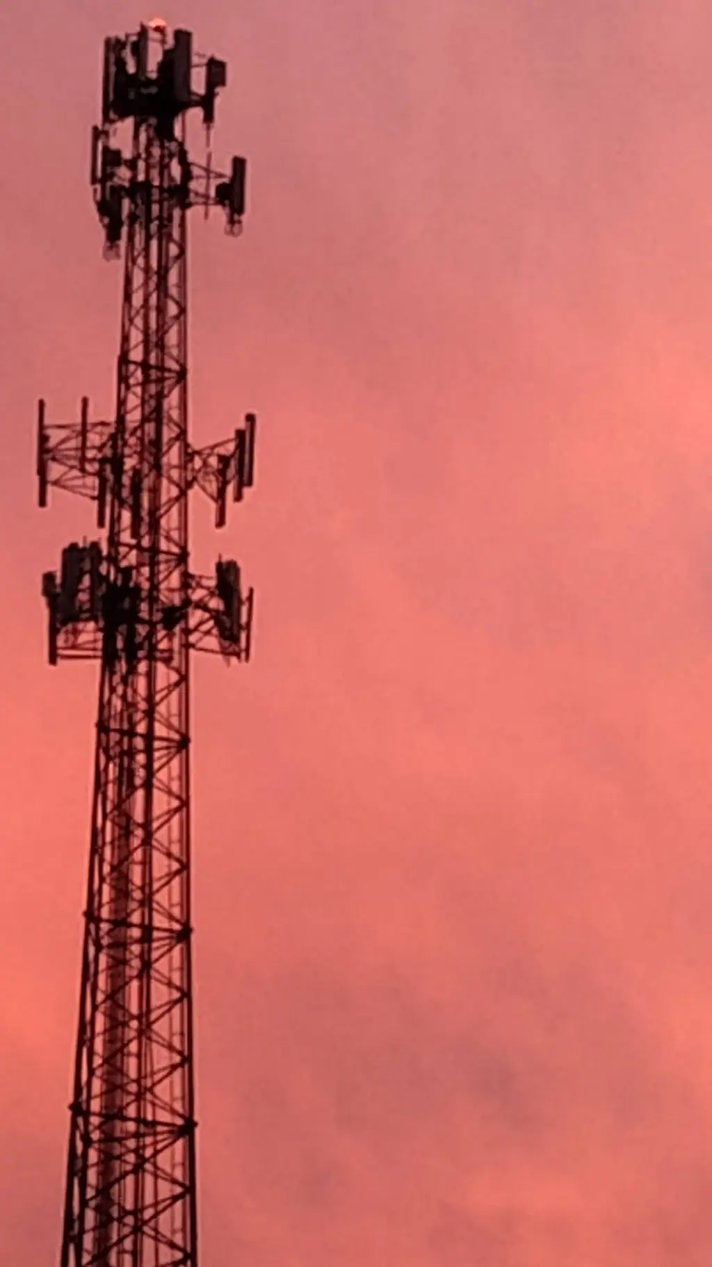 ai character: stray kids background