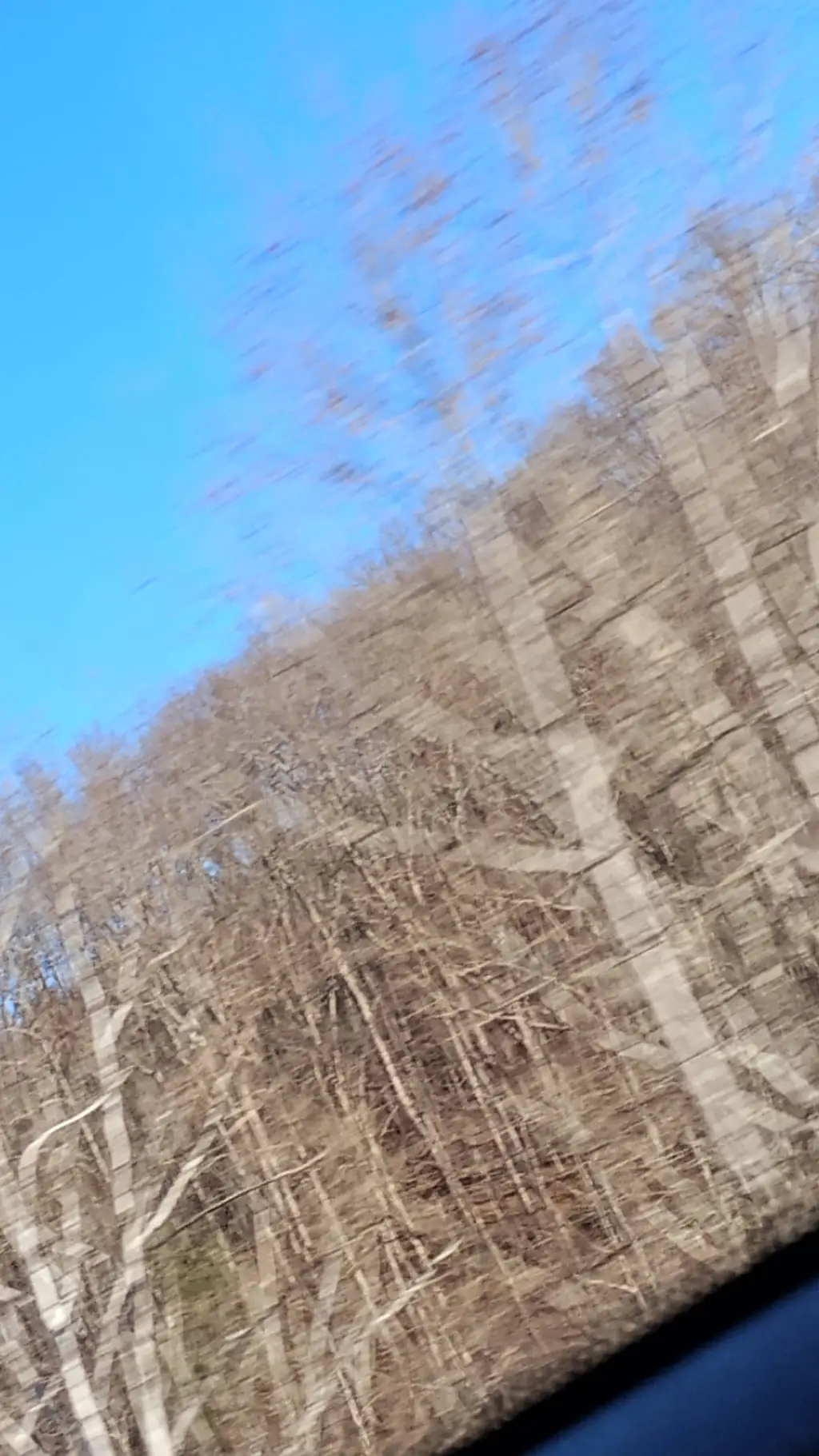 ai character: hyunjin background