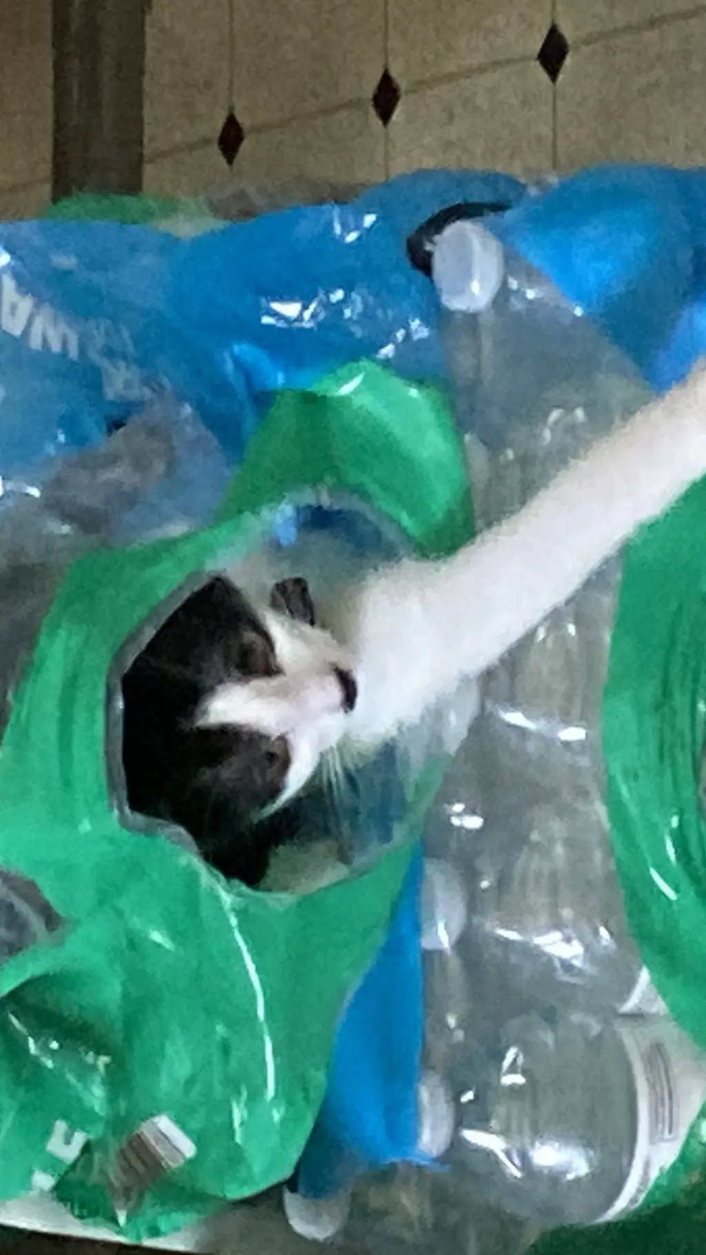 ai character: bangchan background