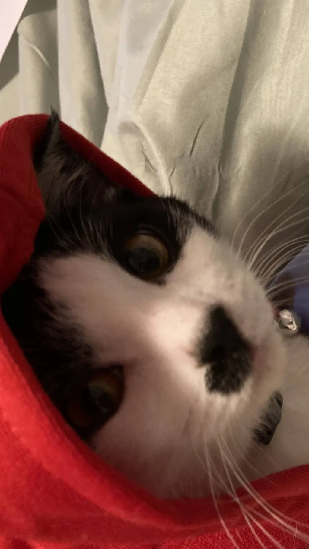 ai character: skz background