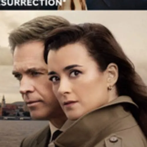 chat with ai character: Dw Birthday stolen