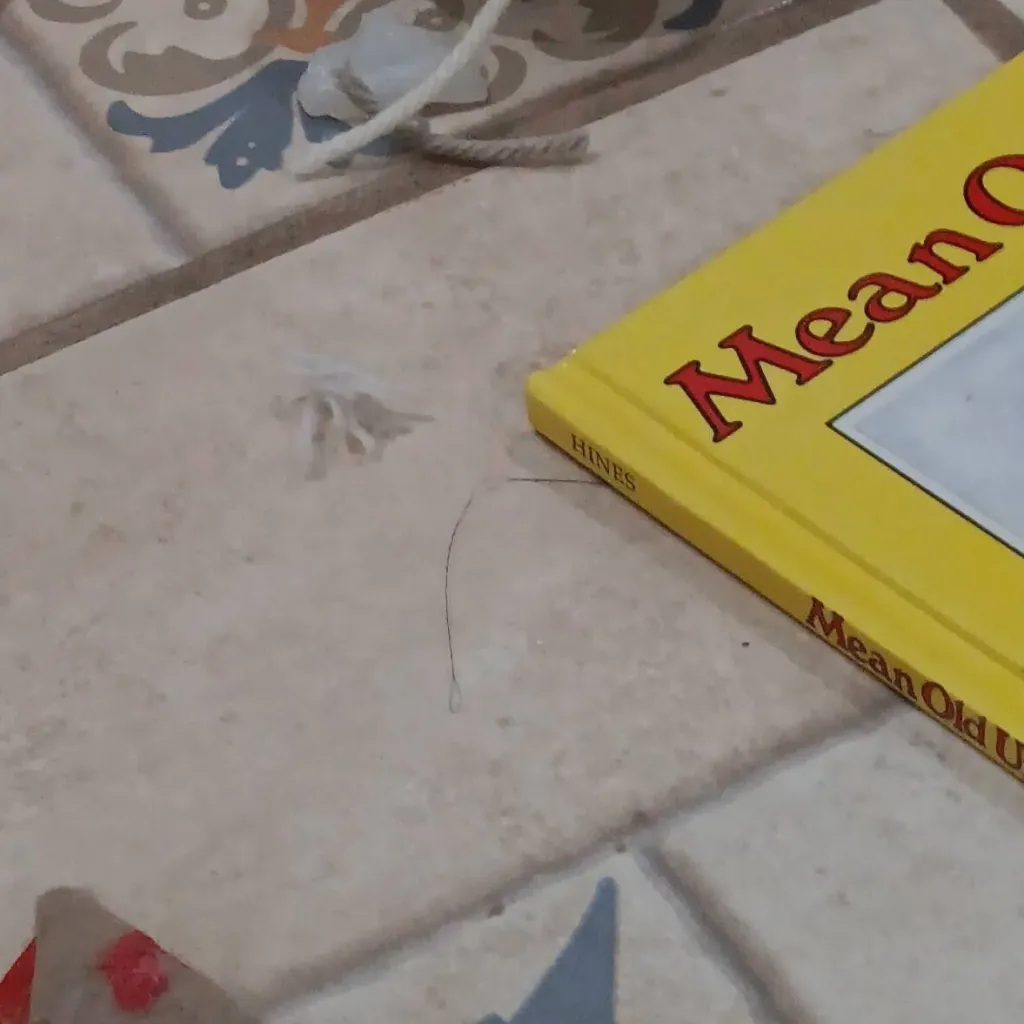 chat with ai character: YOU CHOOSE 