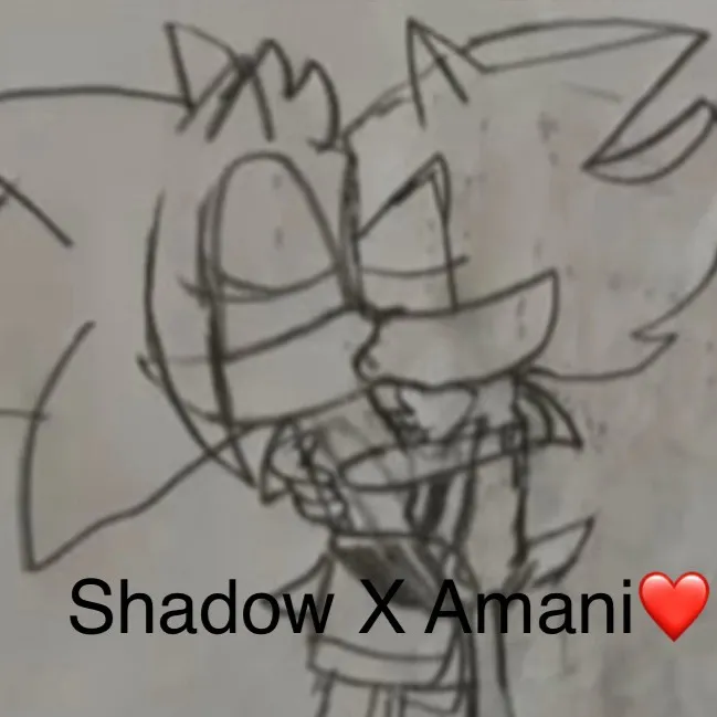 chat with ai character: Shadow X Amani