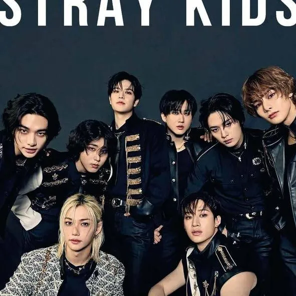 chat with ai character: Stray Kids famille