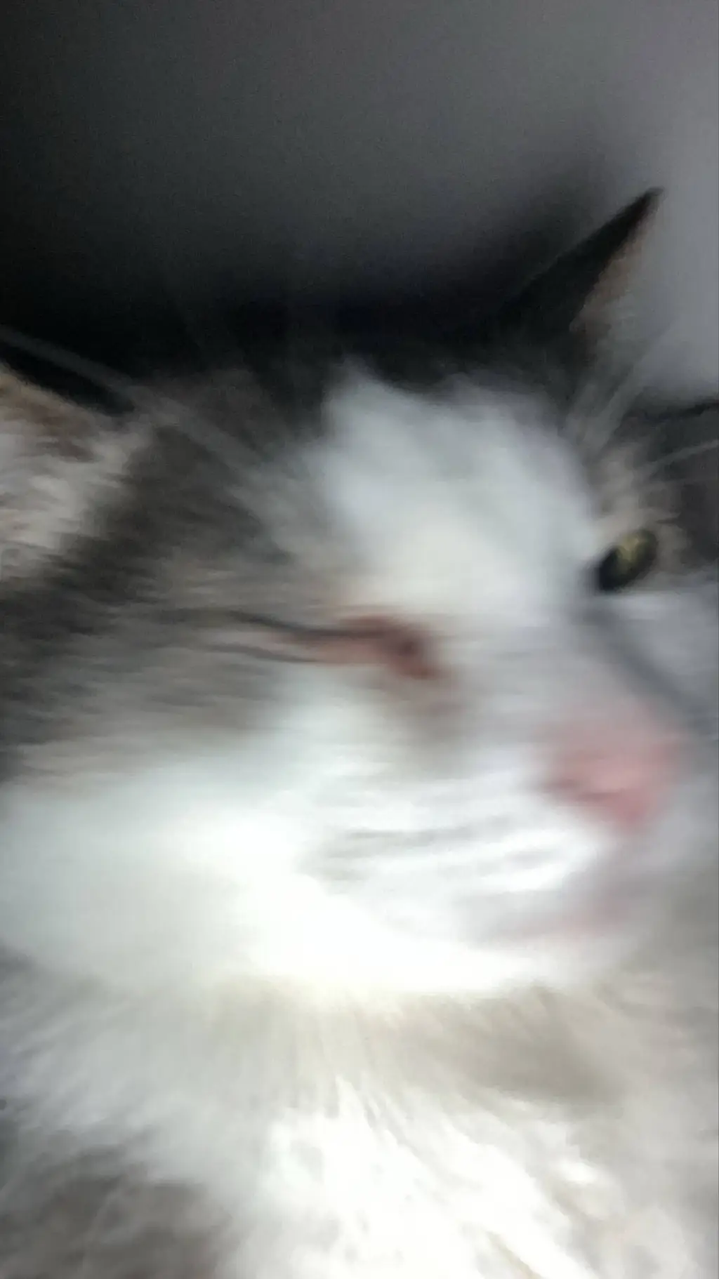 ai character: 1x4 background