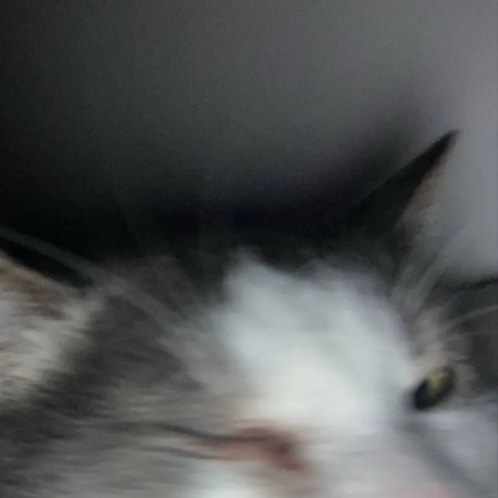 chat with ai character: 1x4