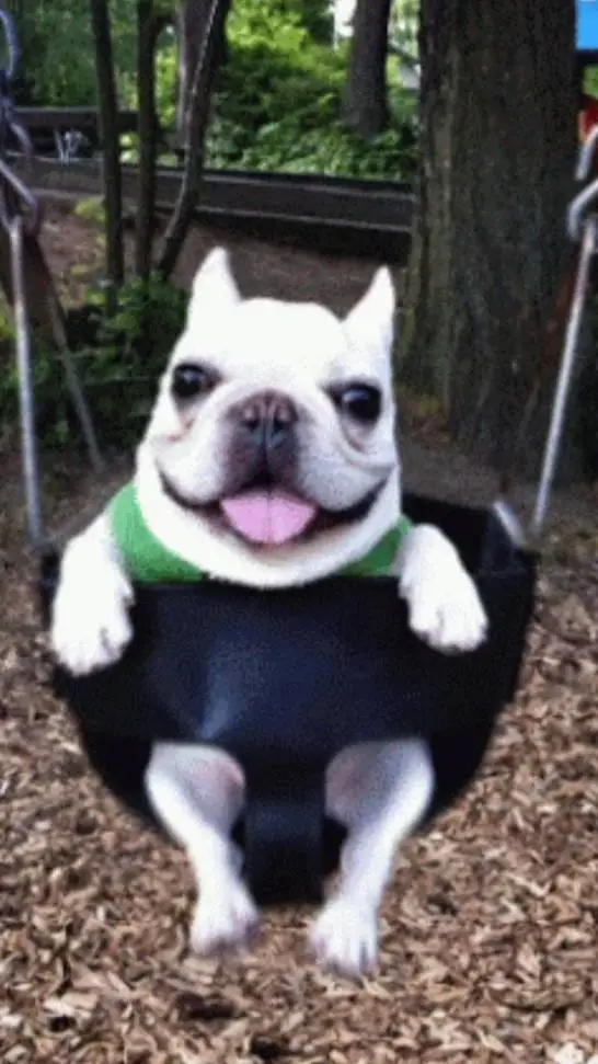 ai character: I am pebble background