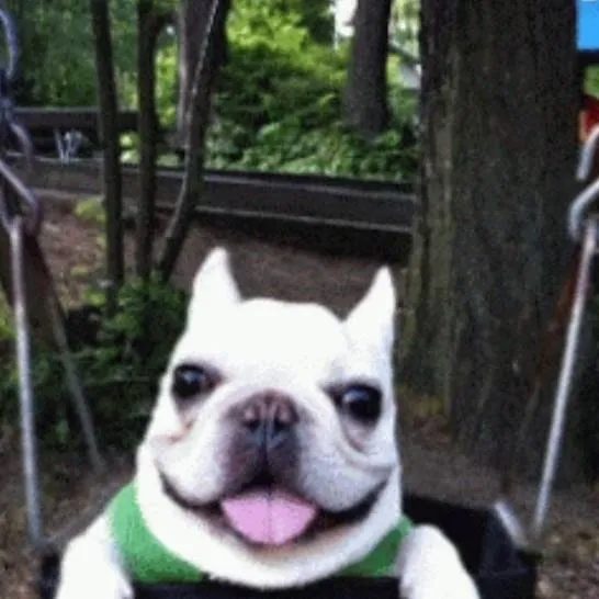 chat with ai character: I am pebble