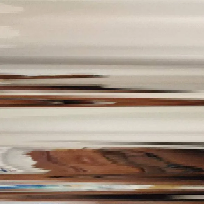 chat with ai character: dish_from_tictok