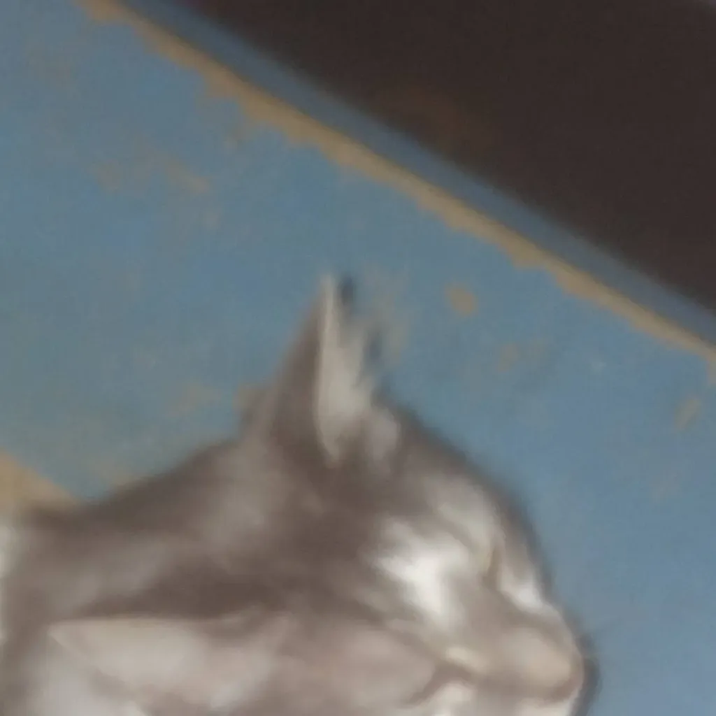 chat with ai character: Juno/cat/human