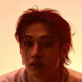 chat with ai character: Bangchan 🌹