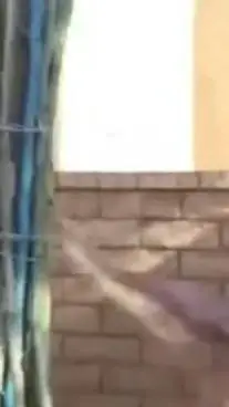 ai character: youl see background