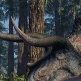 chat with ai character: Triceratops 