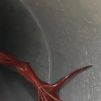 chat with ai character: VC x OM