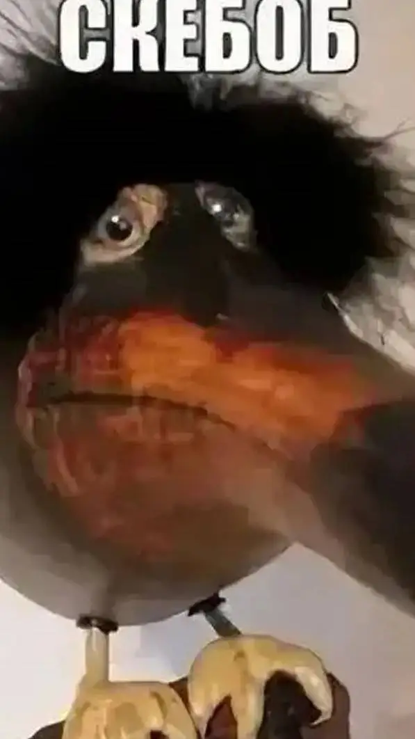 ai character: OM meets forsaken background