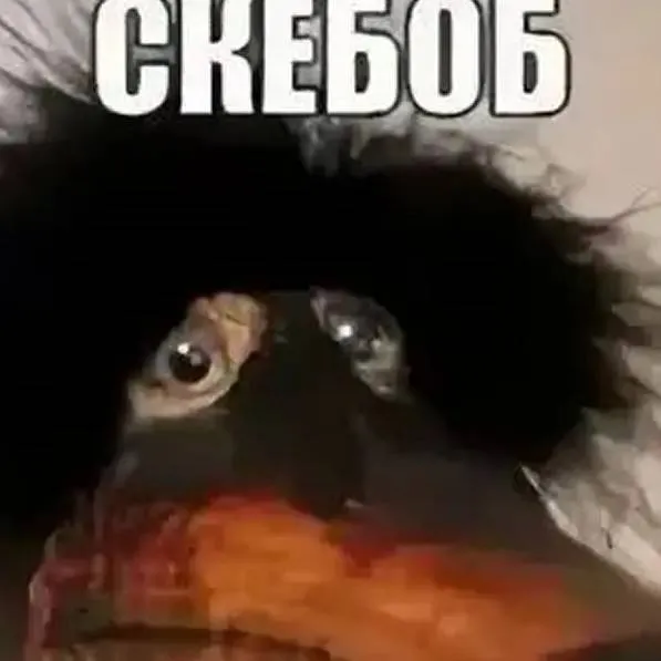 chat with ai character: OM meets forsaken