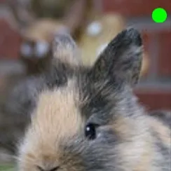 chat with ai character: Izzy🐰♡😇