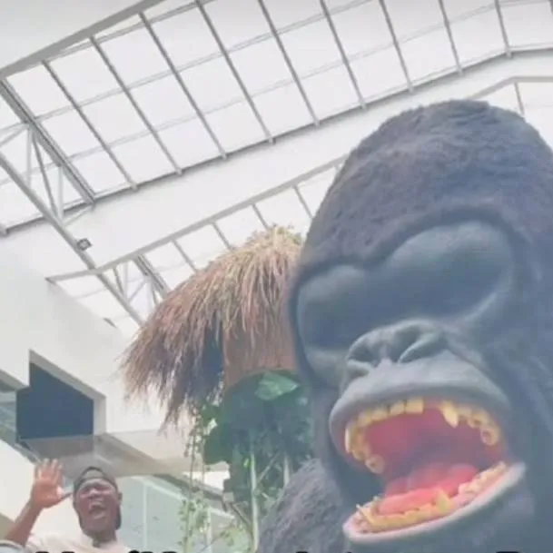 chat with ai character: Yupi-Kong🐵