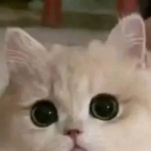 chat with ai character: ??