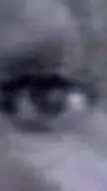 ai character: eye background