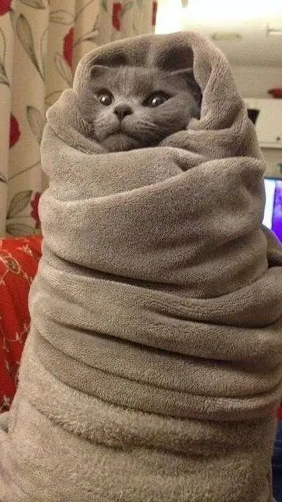 ai character: Hashira background