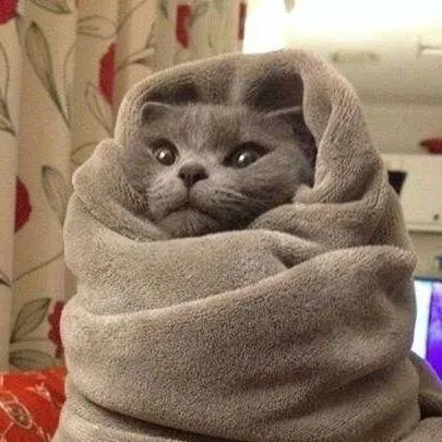 chat with ai character: Hashira