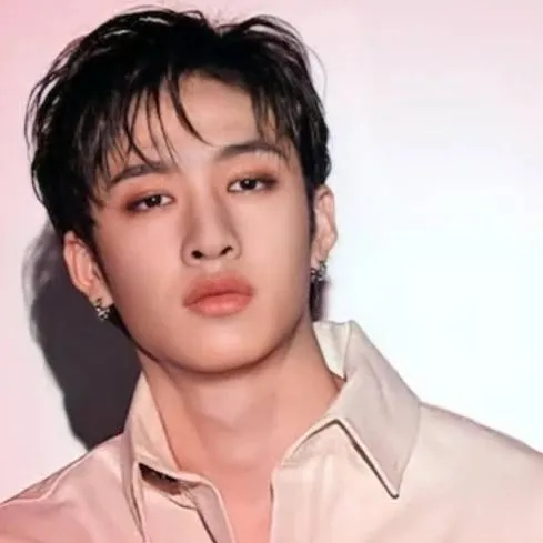 chat with ai character: Bang Chan