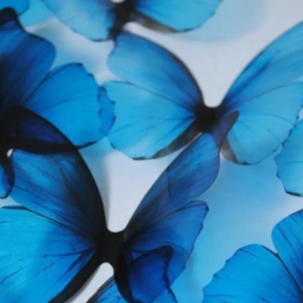 chat with ai character: KnY x jjk