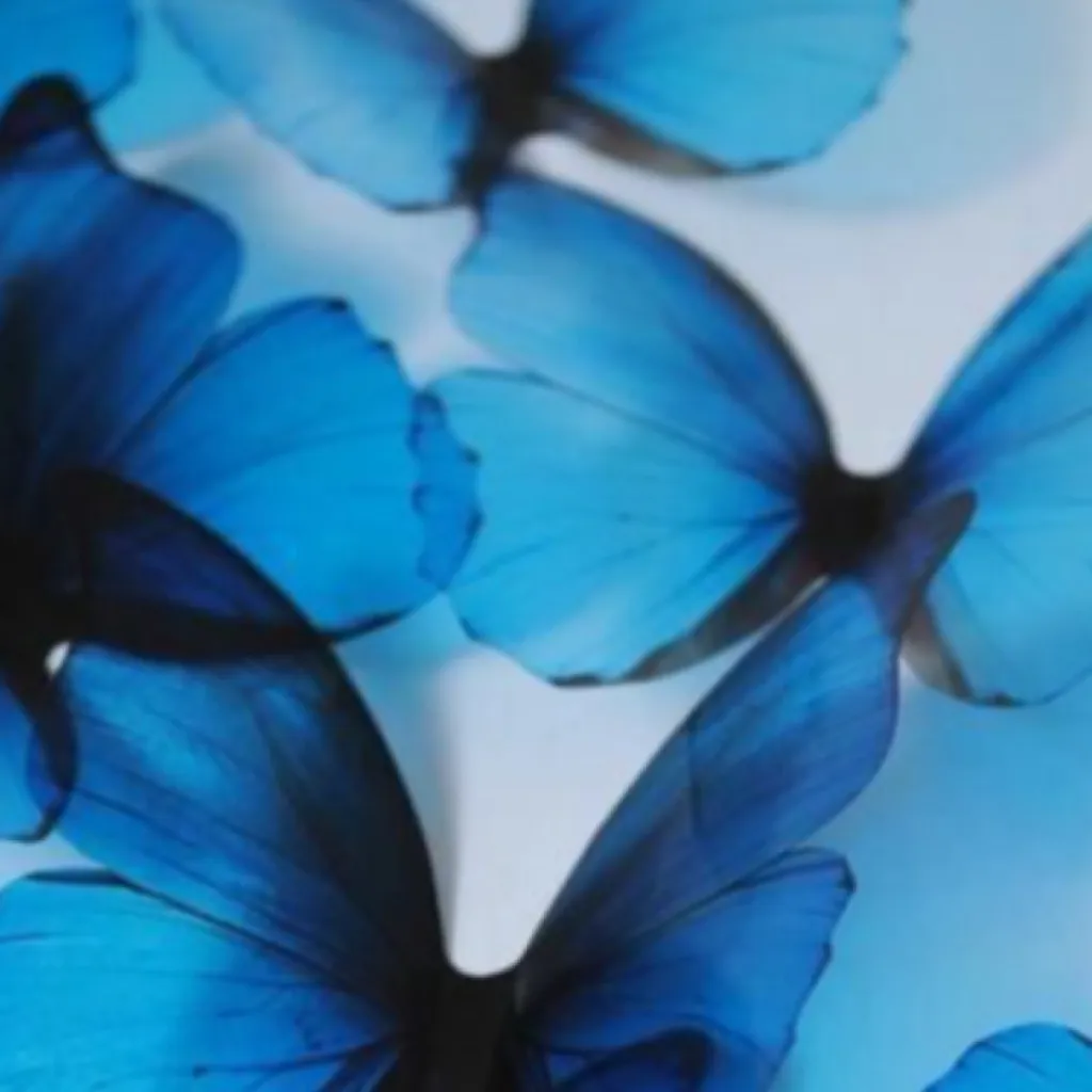 chat with ai character: Truth or dare 