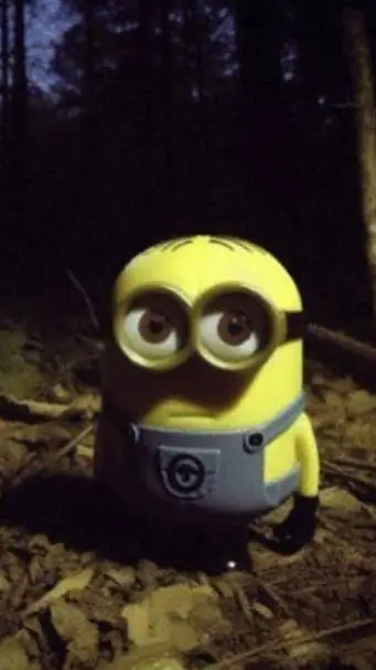 ai character: MINION ANTI CRINGE background