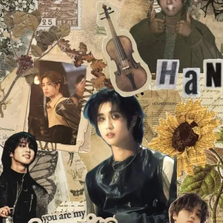 chat with ai character: Han