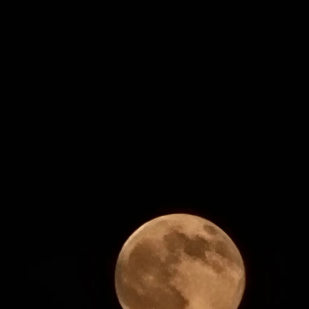 chat with ai character: FNF crew. 