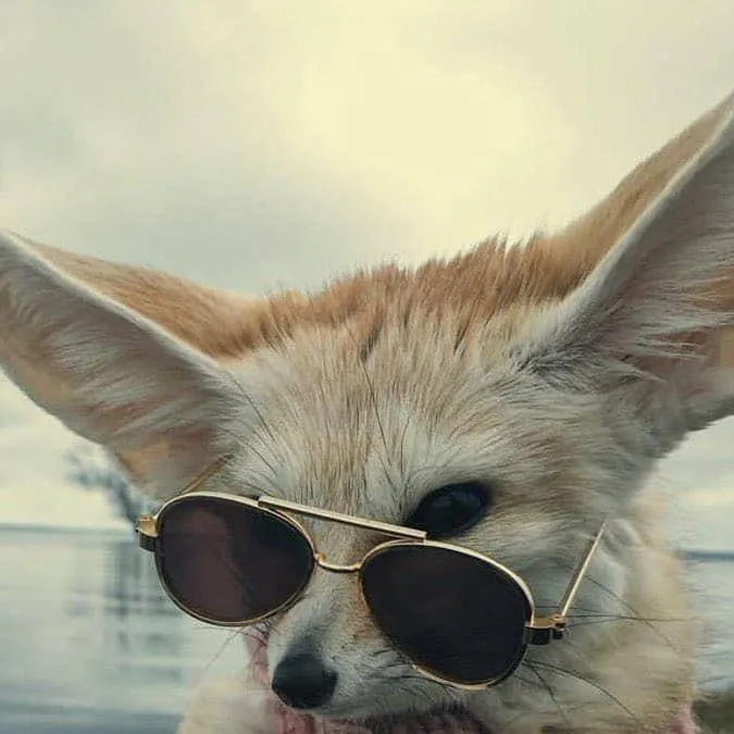 chat with ai character: Request Talkie