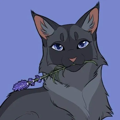 chat with ai character: Cinderpelt