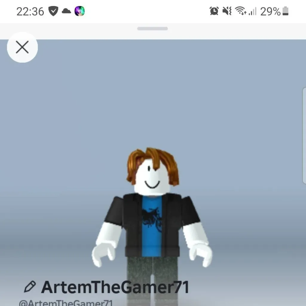 chat with ai character: ArtemTheGamer71