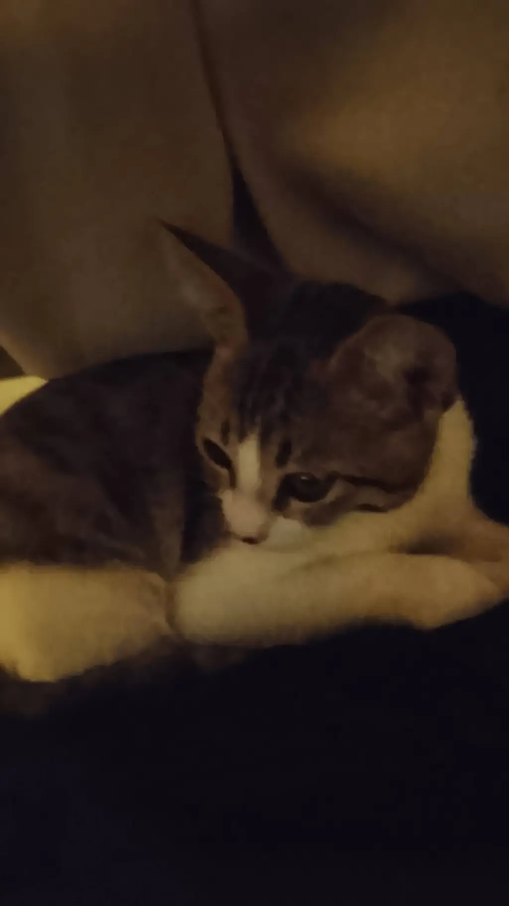 ai character: among Us pick me background