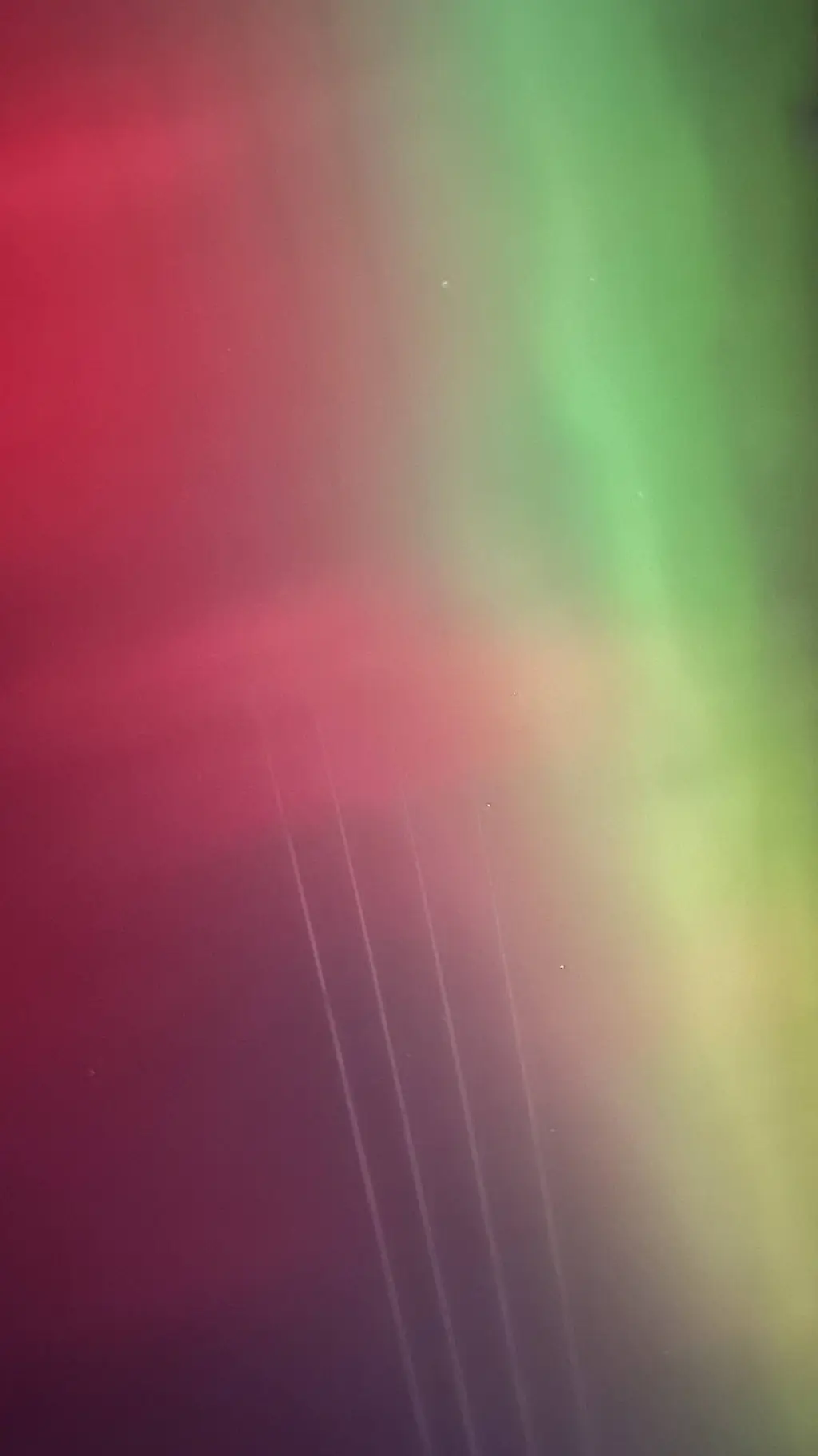 ai character: Alissa  background