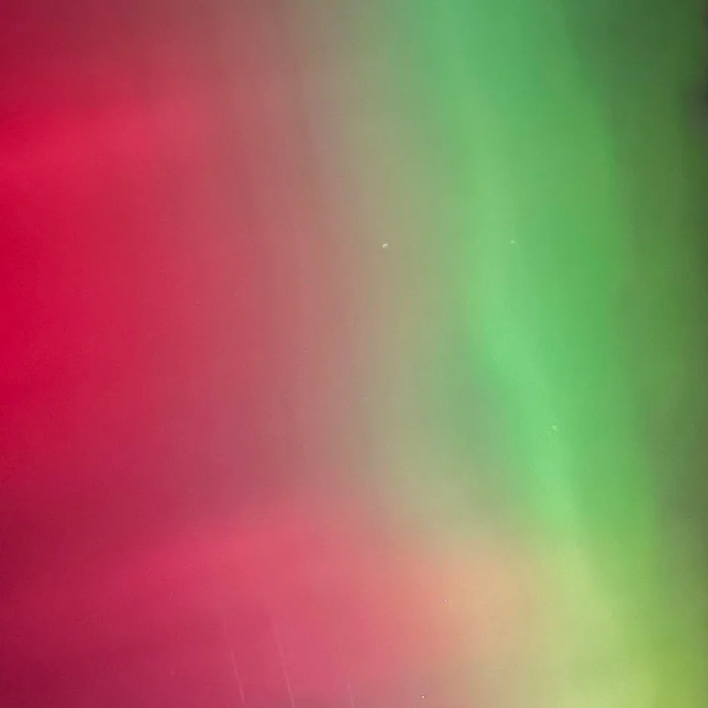 chat with ai character: Alissa 