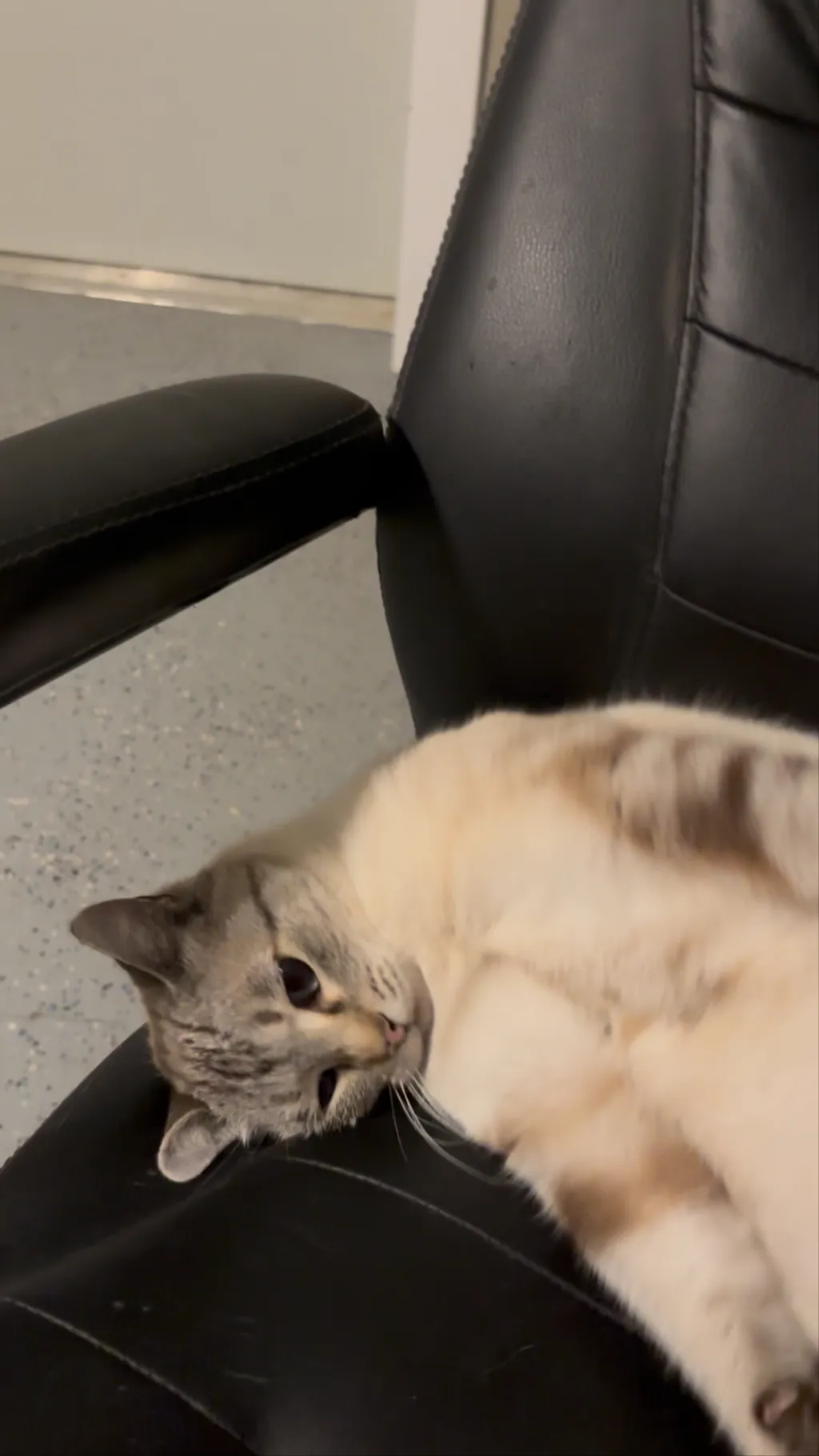 ai character: Secret dating  background