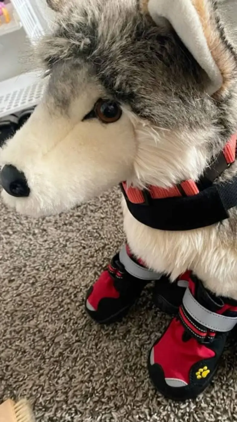 ai character: Lucky the Essa  background