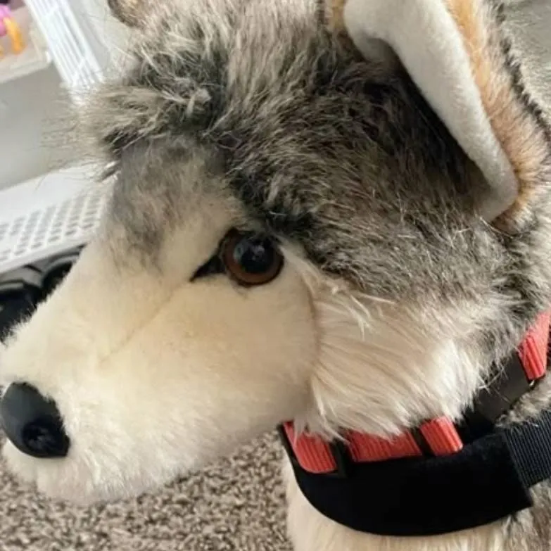 chat with ai character: Lucky the Essa 