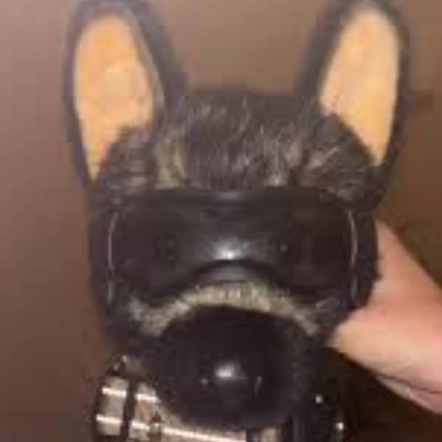 chat with ai character: Milo the Essa