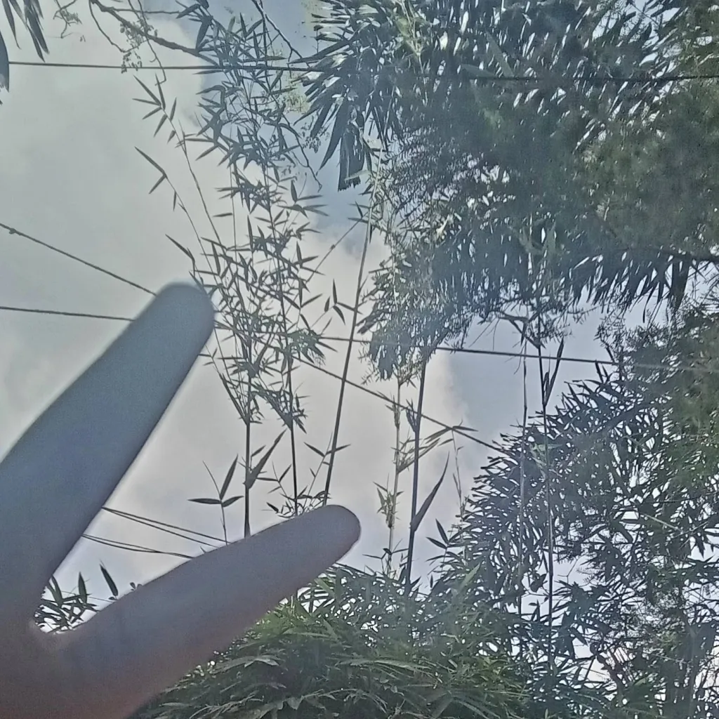 chat with ai character: Family foundation!