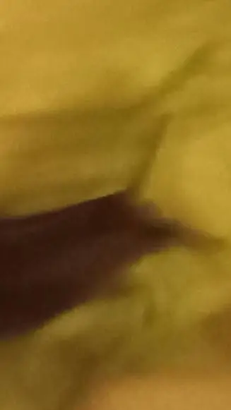 ai character: david bazucki background