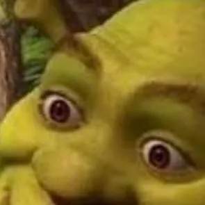 chat with ai character: shrek