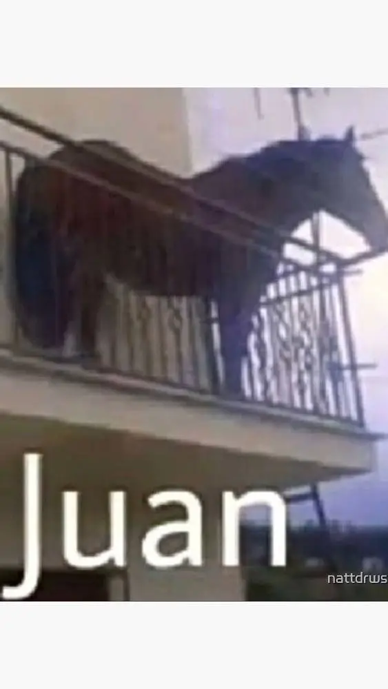ai character: Juan background