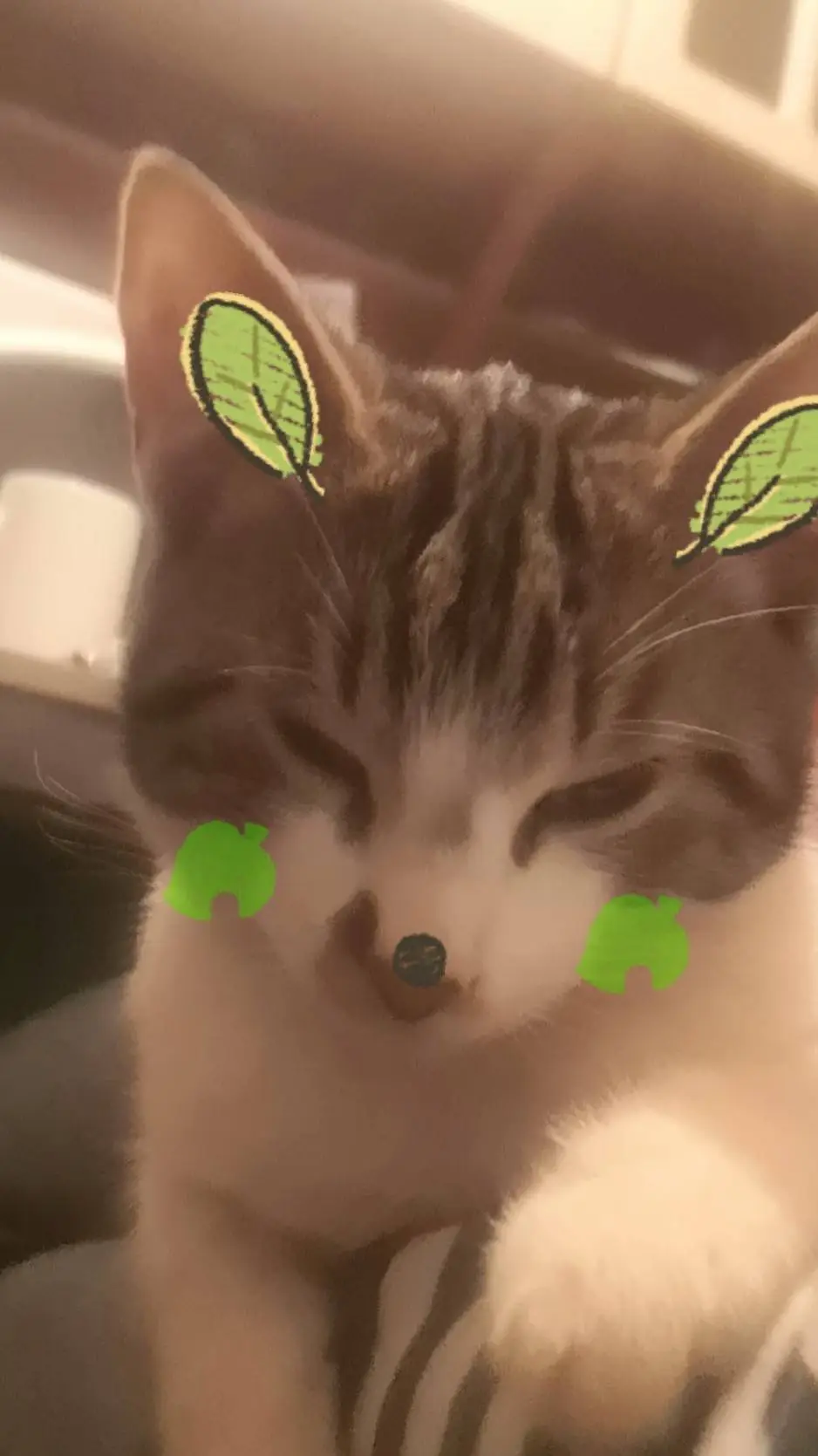 ai character: 😚 background