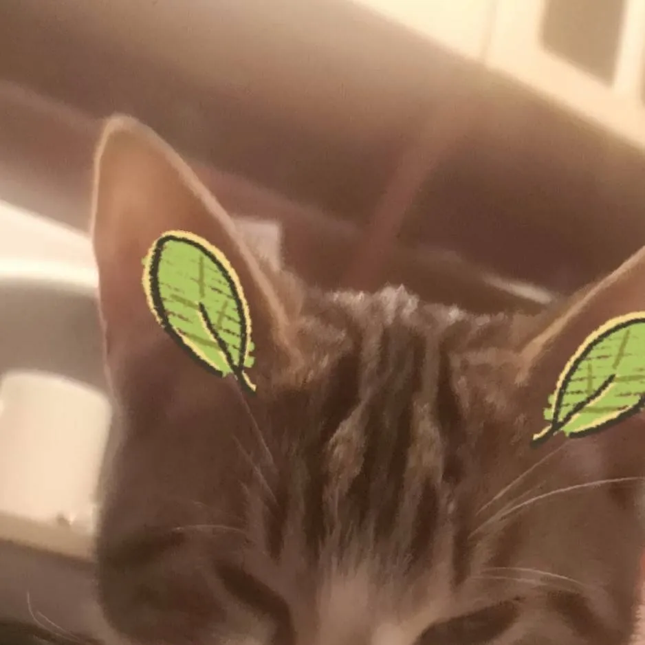 chat with ai character: 😚