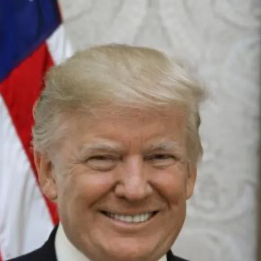 chat with ai character: Trump The Rizzler