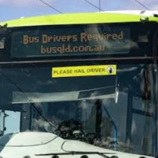 chat with ai character: TransLink Bus